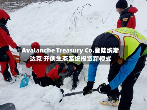 Avalanche Treasury Co.登陆纳斯达克 开创生态系统投资新模式
