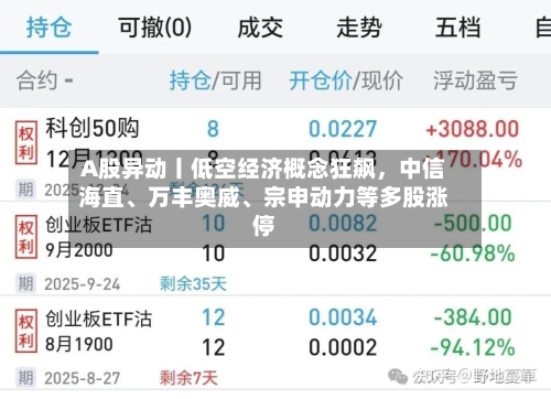 A股异动丨低空经济概念狂飙，中信海直	、万丰奥威、宗申动力等多股涨停-第2张图片