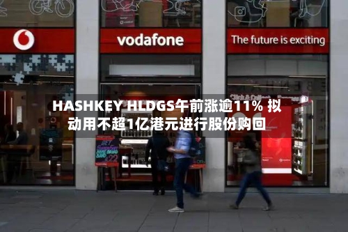 HASHKEY HLDGS午前涨逾11% 拟动用不超1亿港元进行股份购回