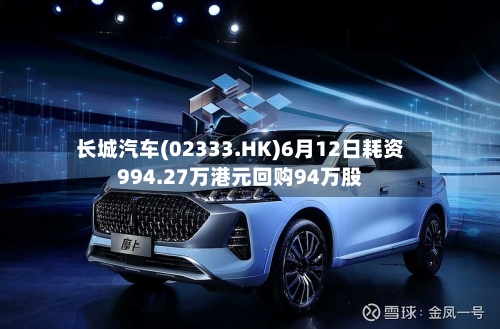 长城汽车(02333.HK)6月12日耗资994.27万港元回购94万股