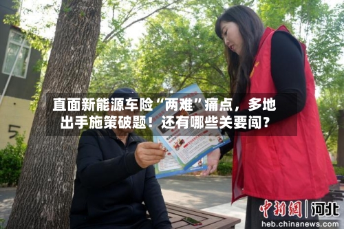 直面新能源车险“两难	”痛点，多地出手施策破题！还有哪些关要闯？-第2张图片