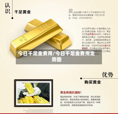 今日千足金费用/今日千足金费用走势图-第3张图片