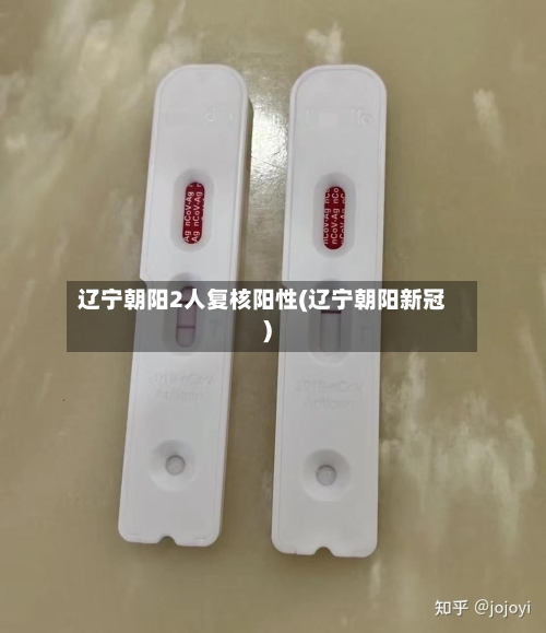辽宁朝阳2人复核阳性(辽宁朝阳新冠)-第2张图片