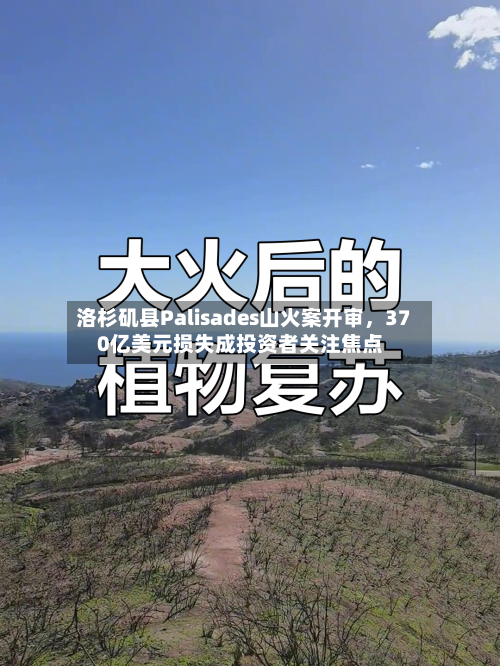 洛杉矶县Palisades山火案开审，370亿美元损失成投资者关注焦点-第2张图片