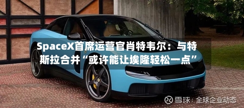 SpaceX首席运营官肖特韦尔：与特斯拉合并“或许能让埃隆轻松一点”