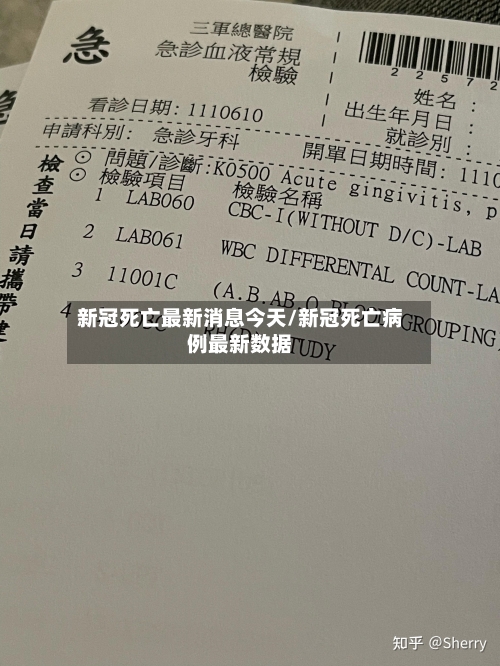 新冠死亡最新消息今天/新冠死亡病例最新数据-第3张图片