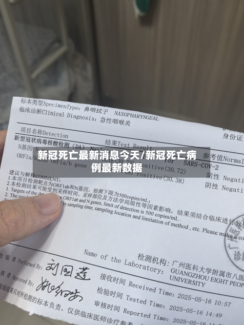 新冠死亡最新消息今天/新冠死亡病例最新数据-第2张图片