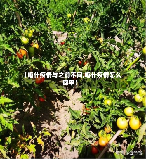【喀什疫情与之前不同,喀什疫情怎么回事】