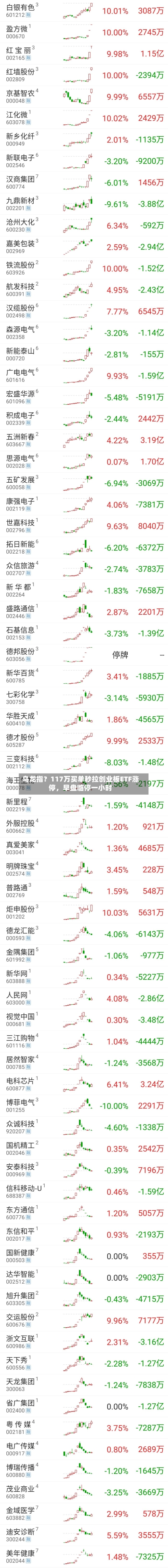 乌龙指？117万买单秒拉创业板ETF涨停，早盘临停一小时-第2张图片