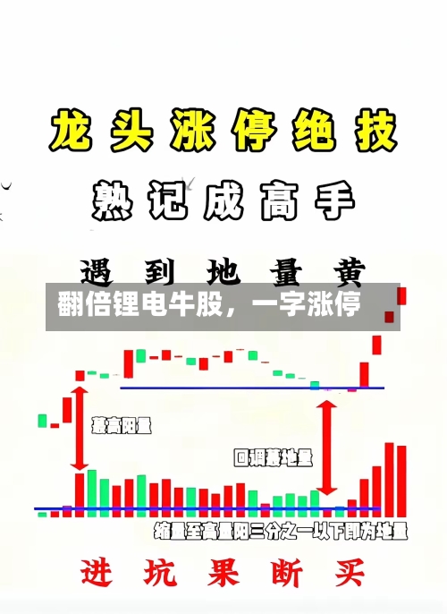 翻倍锂电牛股，一字涨停-第2张图片