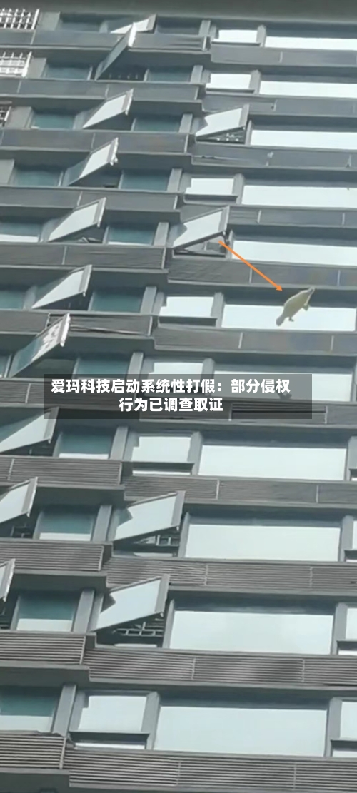 爱玛科技启动系统性打假:部分侵权行为已调查取证-第2张图片