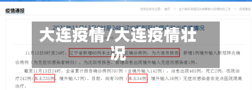 大连疫情/大连疫情壮况